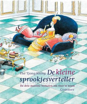 Cover of the book De kleine sprookjesverteller by John Flanagan