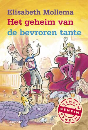 Cover of the book Het geheim van de bevroren tante by Lydia Rood