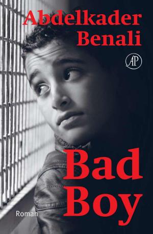 Cover of the book Bad Boy by Toon Tellegen