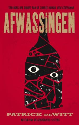 Cover of the book Afwassingen by Bert Nijmeijer