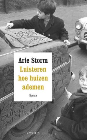 Cover of the book Luisteren hoe huizen ademen by Herman Brusselmans