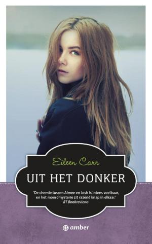 Cover of the book Uit het donker by Gerard de Villiers