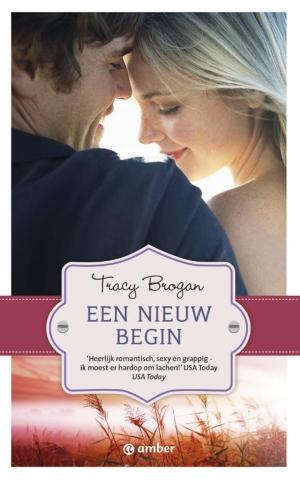 Cover of the book Een nieuw begin by Havank