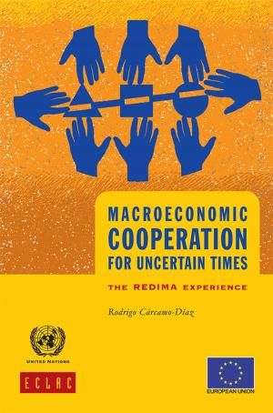Book cover of Macroeconomic Cooperation for Uncertain Times: the REDIMA Experience