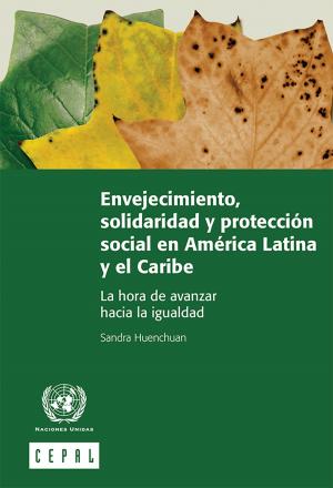 Cover of the book Envejecimiento, solidaridad y protección social en América Latina y el Caribe: la hora de avanzar hacia la igualdad by United Nations