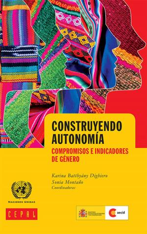 Cover of the book Construyendo autonomía: compromisos e indicadores de género by 
