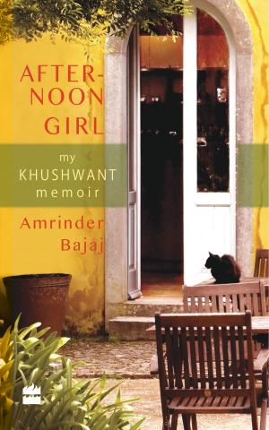 Cover of the book The Afternoon Girl: My Khushwant Memoir by Stuart MacBride