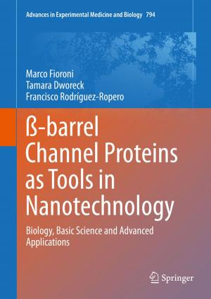 Cover of the book ß-barrel Channel Proteins as Tools in Nanotechnology by Peter Maria Müller