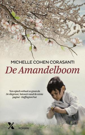 Cover of the book De amandelboom by Paul Morley, Grace Jones