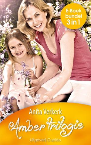 Book cover of Amber trilogie