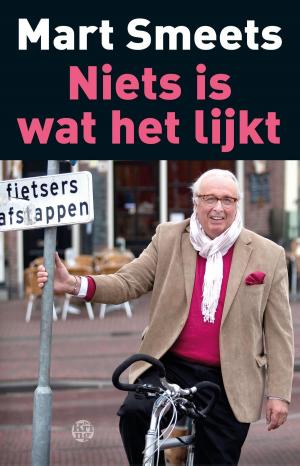 Cover of the book Niets is wat het lijkt by Joop van Riessen