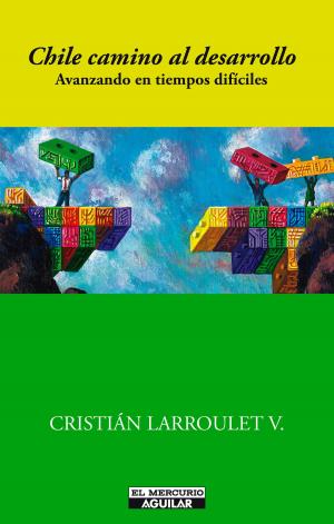 Cover of the book Chile camino al desarrollo by MARIA TERESA RUIZ