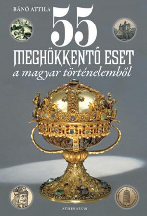 Cover of the book 55 meghökkentő eset a magyar történelemből by Viola Judit