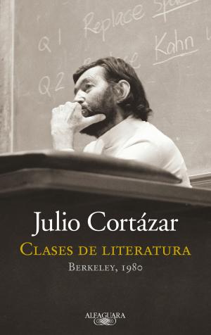 Cover of the book Clases de Literatura by Julio Cortázar