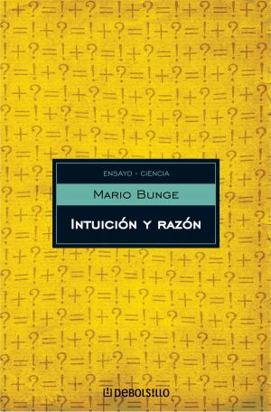 Cover of the book Intuición y razón by María Estela Spinelli