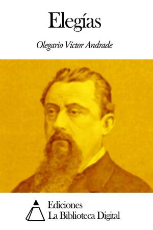 Cover of the book Elegías by Benito Pérez Galdós