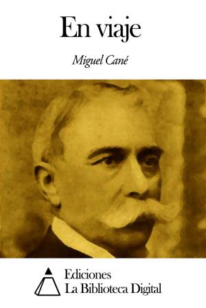 Cover of the book En viaje by Manuel  Fernández y González