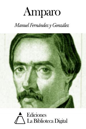 Cover of the book Amparo by Miguel de Cervantes