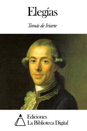 Cover of the book Elegías by Tirso de Molina