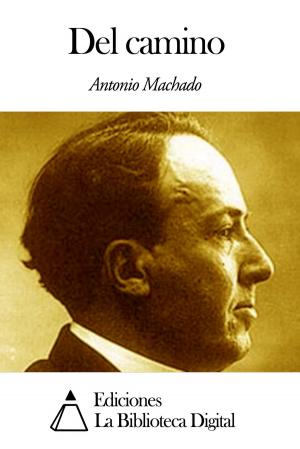 Cover of the book Del camino by José María de Pereda