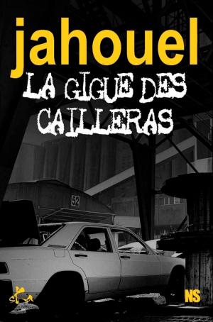 Cover of the book La gigue des cailleras by Persia Walker