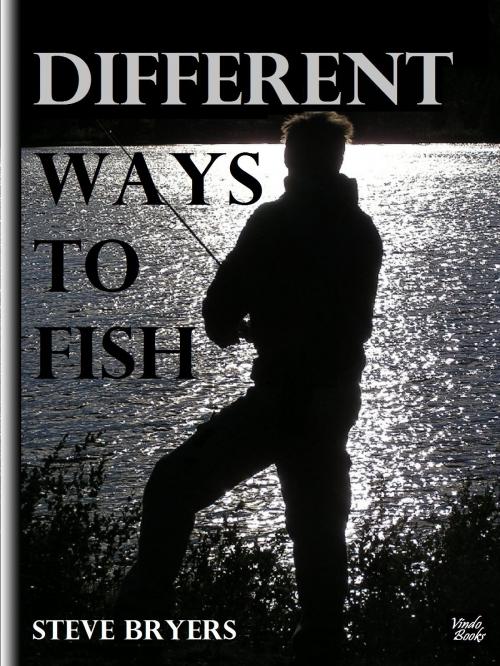 Cover of the book Different Ways to Fish by Steve Bryers, Vindo Books