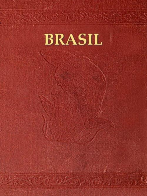 Cover of the book Indice Chronologico dos factos mais notaveis da Historia do Brasil desde seu descobrimento em 1500 ate 1849 by Agostinho Marques Perdigao Malheiro, VolumesOfValue