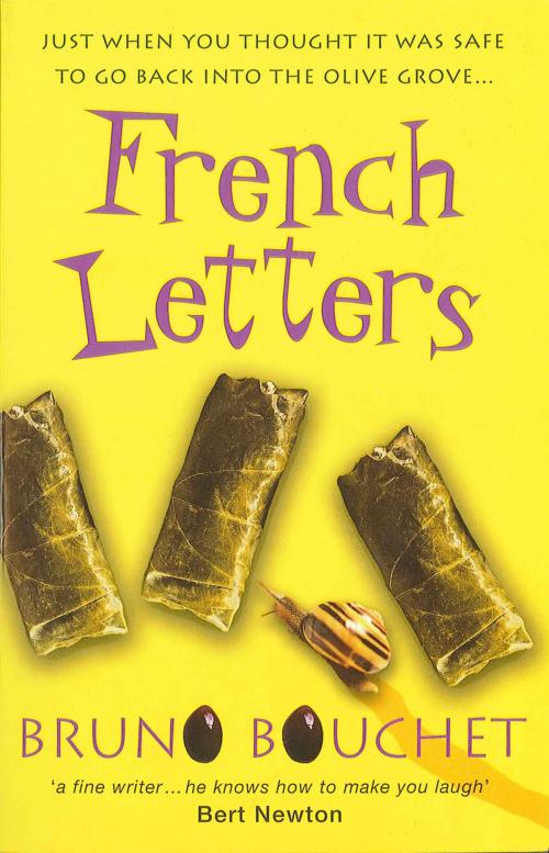 Cover of the book French Letters by Bruno Bouchet, Bruno Bouchet