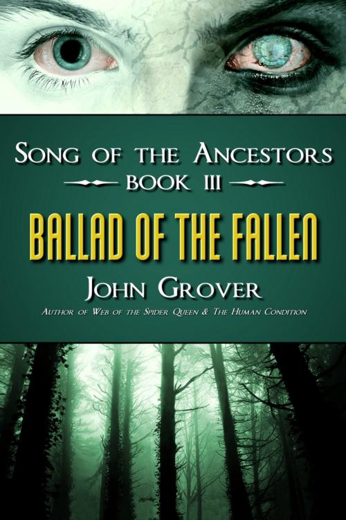 Cover of the book Ballad of the Fallen by John Grover, ShadowTales.com