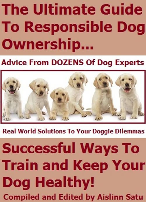 Cover of the book The Ultimate Guide To Responsible Dog Ownership: Successful Ways To Train and Keep Your Dog Healthy by Aislinn Satu, Aislinn Satu