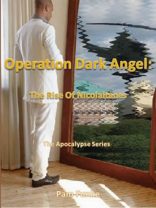 Cover of the book Operation Dark Angel: The Rise of Nicolaitanes by Pam Funke, For God's Glory Publishing