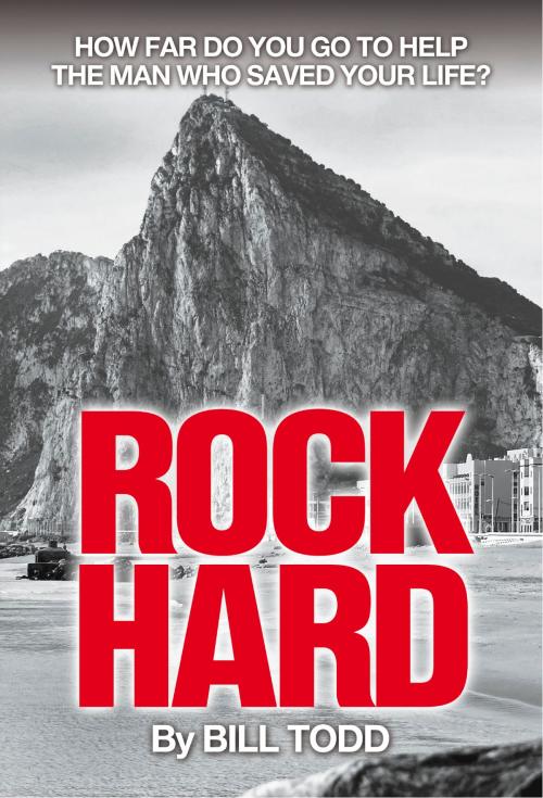 Cover of the book Rock Hard by Bill Todd, DLE Fiction