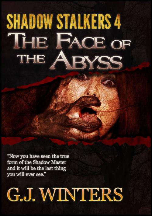 Cover of the book The Face of The Abyss: Shadow Stalkers 4 by G.J. Winters, Publications Circulations LLC