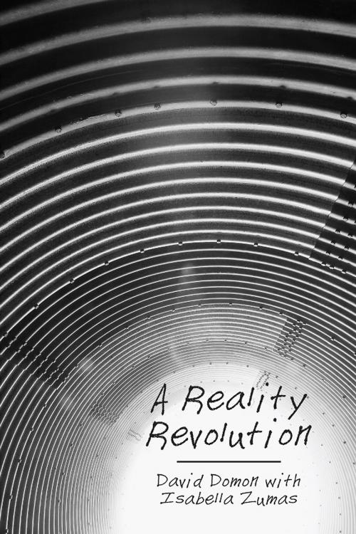 Cover of the book A Reality Revolution by David Domon, Outskirts Press