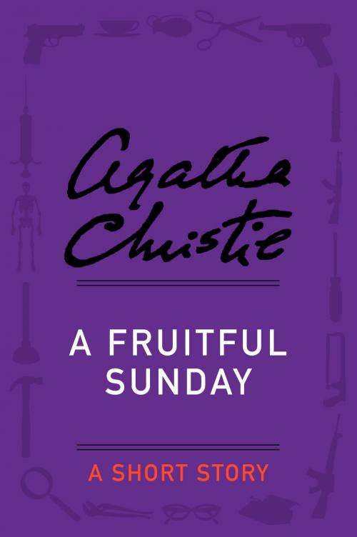 Cover of the book A Fruitful Sunday by Agatha Christie, Witness Impulse