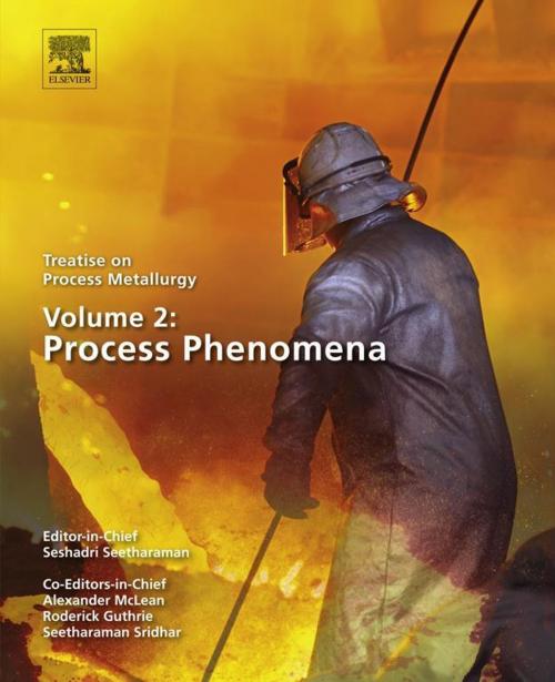 Cover of the book Treatise on Process Metallurgy, Volume 2: Process Phenomena by Seshadri Seetharaman, Elsevier Science