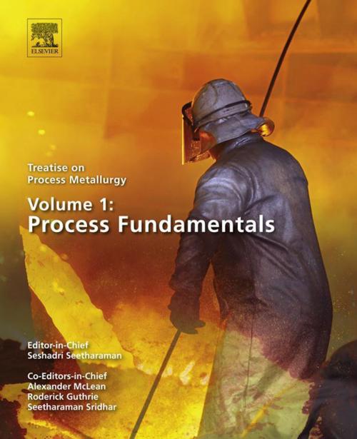 Cover of the book Treatise on Process Metallurgy, Volume 1: Process Fundamentals by Seshadri Seetharaman, Elsevier Science