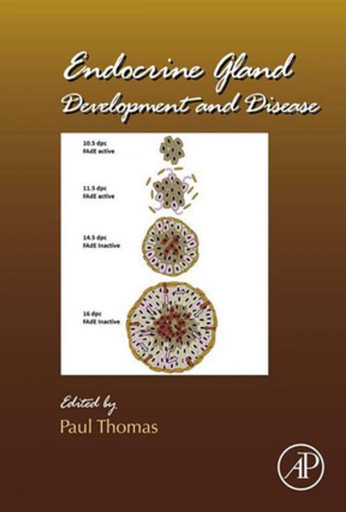 Cover of the book Endocrine Gland Development and Disease by Paul Thomas, Elsevier Science