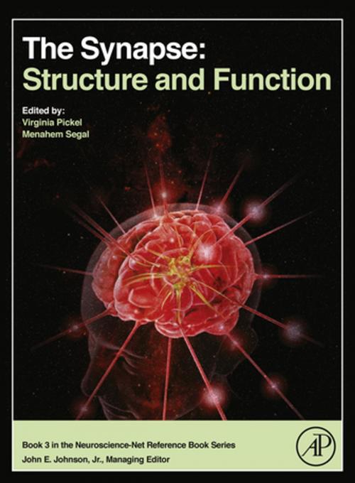 Cover of the book The Synapse by , Elsevier Science