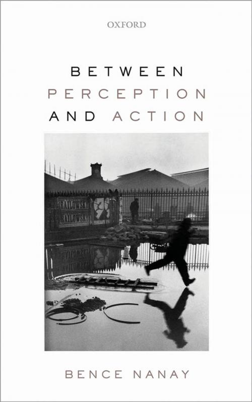 Cover of the book Between Perception and Action by Bence Nanay, OUP Oxford