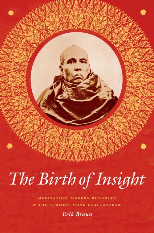 Cover of the book The Birth of Insight by Erik Braun, University of Chicago Press