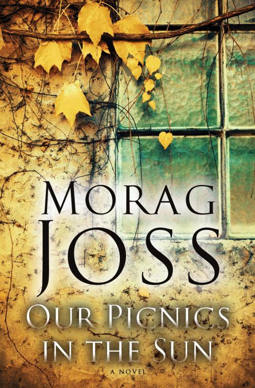 Cover of the book Our Picnics in the Sun by Morag Joss, Random House Publishing Group