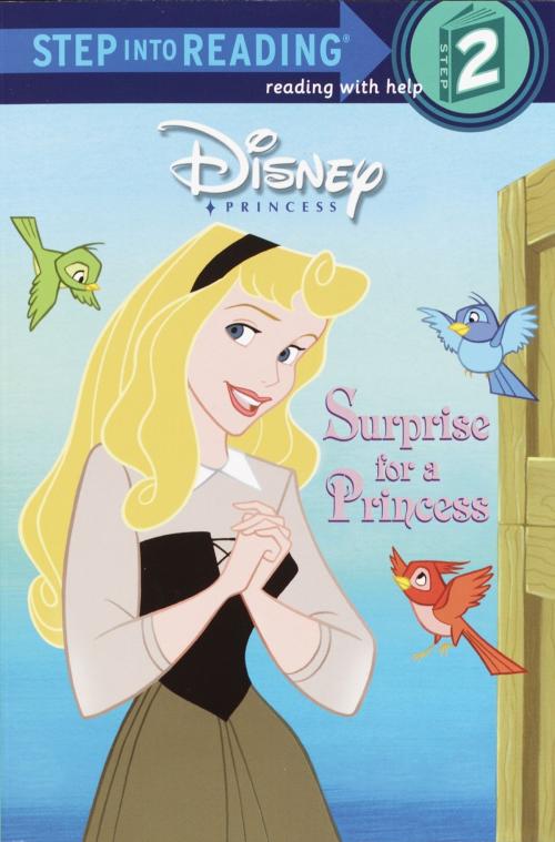 Cover of the book Surprise for a Princess by RH Disney, Jennifer Liberts Weinberg, Random House Children's Books