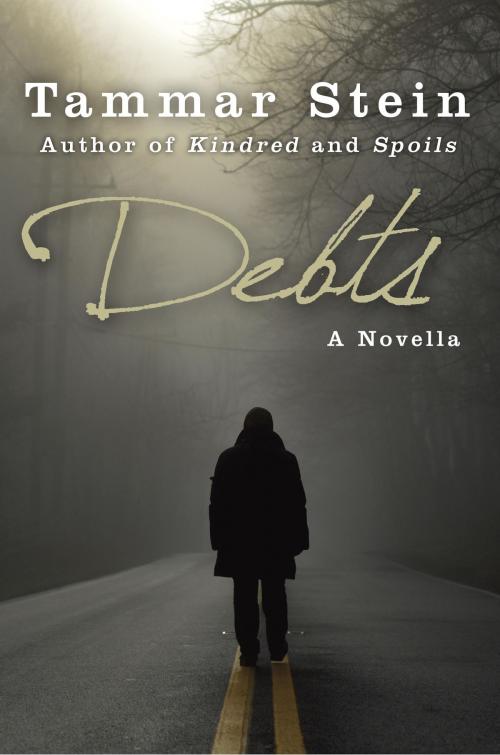 Cover of the book Debts: A Novella by Tammar Stein, Random House Children's Books