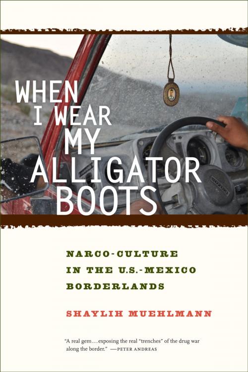 Cover of the book When I Wear My Alligator Boots by Shaylih Muehlmann, University of California Press