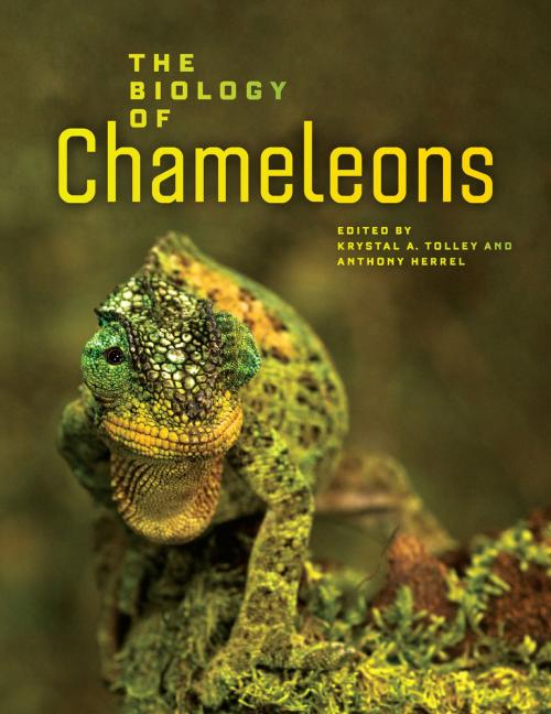 Cover of the book The Biology of Chameleons by , University of California Press