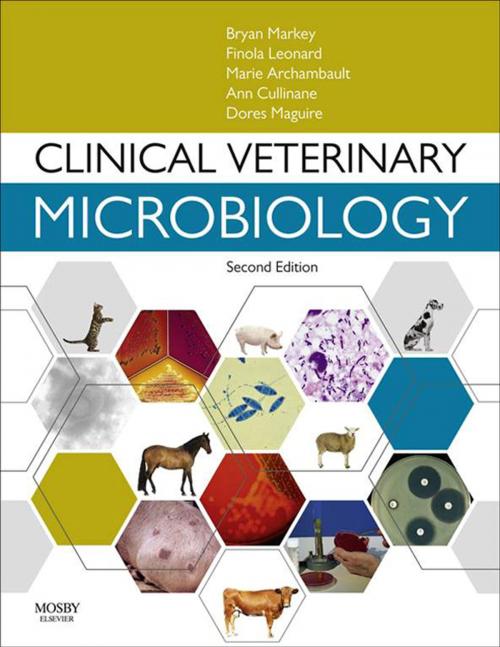 Cover of the book Clinical Veterinary Microbiology E-Book by Bryan Markey, MVB, PhD, DipStat MRCVS, Finola Leonard, MVB, PhD, MRCVS, Marie Archambault, DMV, MSc, PhD, Dipl ACVM, Ann Cullinane, MVB, PhD, MRCVS, Dores Maguire, AIMLS, Elsevier Health Sciences
