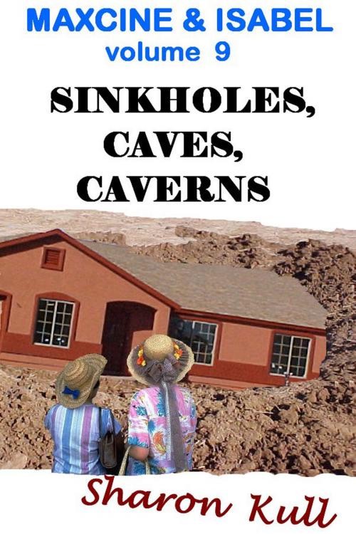 Cover of the book Sinkholes, Caves, Caverns by Sharon Kull, SynergEbooks