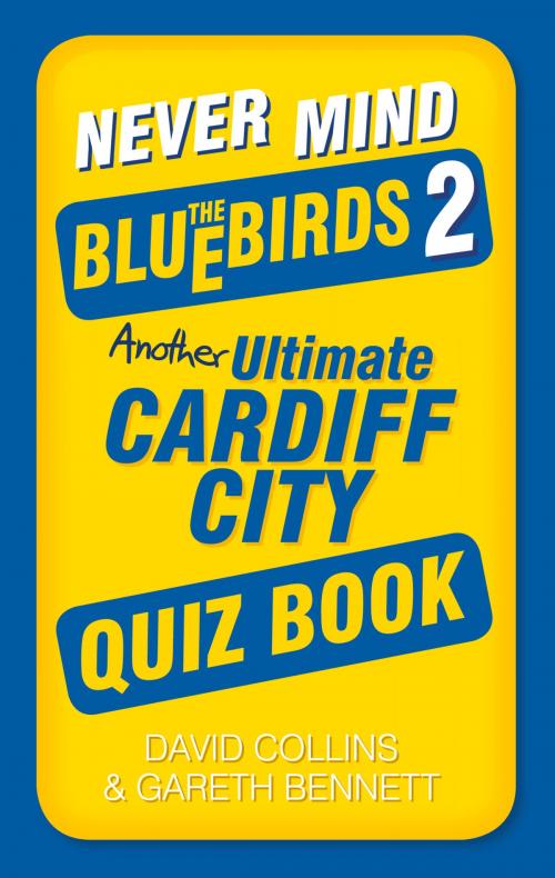 Cover of the book Never Mind the Bluebirds 2 by Gareth Bennett, David Collins, The History Press