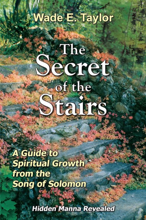 Cover of the book The Secret of the Stairs by Wade E. Taylor, Advanced Global Publishing